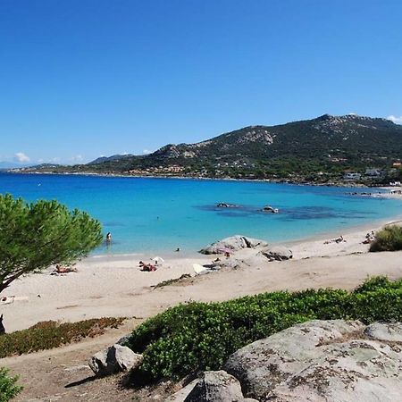 L'Orangeraie Calvi Centre A 300M De La Plage Et Du Port Parking Prive מראה חיצוני תמונה