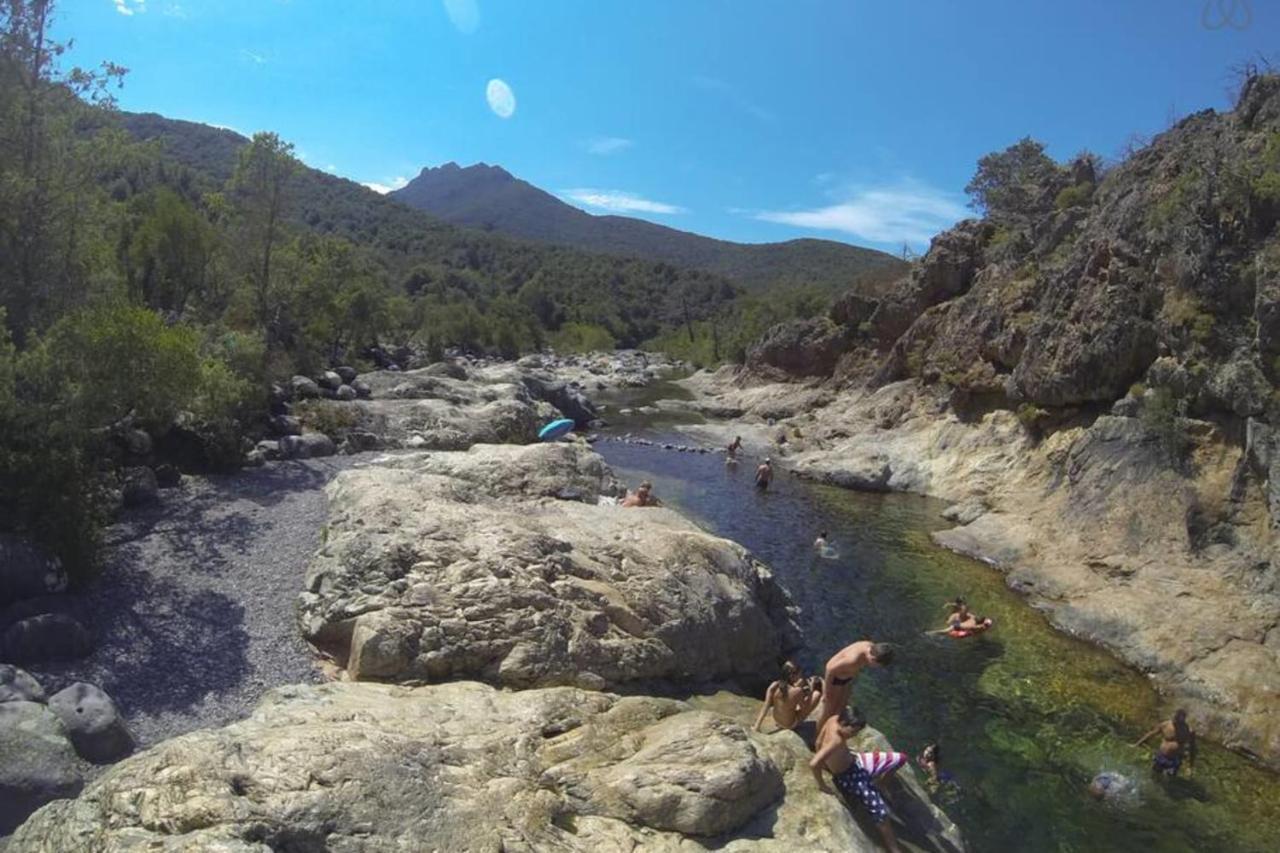 L'Orangeraie Calvi Centre A 300M De La Plage Et Du Port Parking Prive מראה חיצוני תמונה
