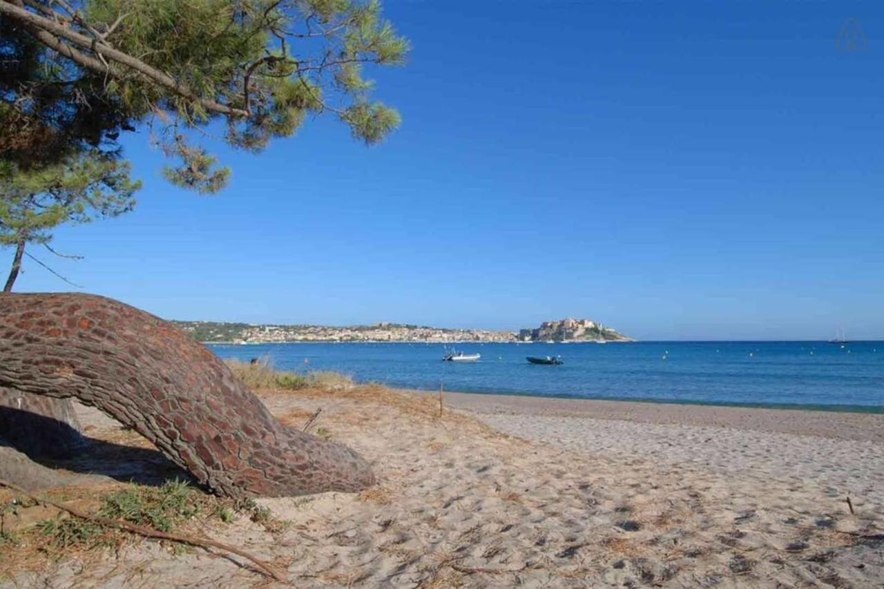 L'Orangeraie Calvi Centre A 300M De La Plage Et Du Port Parking Prive מראה חיצוני תמונה